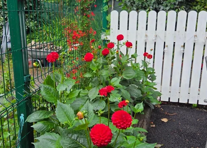 The Apartment Killarney